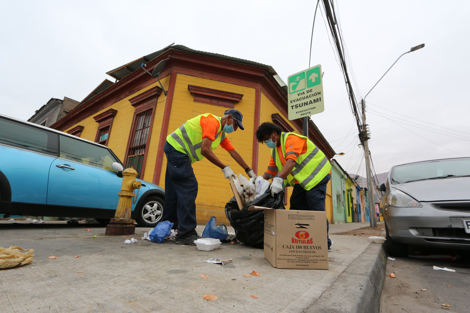 Municipalidad de Iquique requiere trabajadores para reforzar labores de aseo y ornato en fase de Preparación
